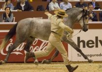 YELMO AZORES, DE Y. AZORES, CAMPEON JOVEN DE MOVIMIENTOS SICAB 2015